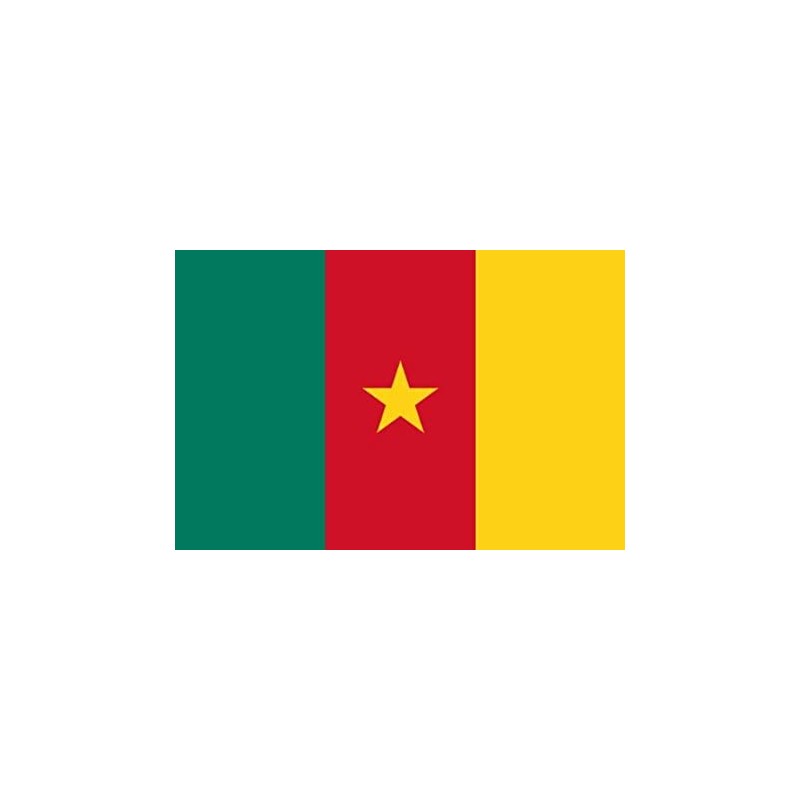 DRAPEAU EN TISSU CAMEROUN 90 X 150 CM