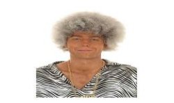 PERRUQUE MORGANE FRISEE GRISE