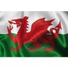 DRAPEAU PAYS DE GALLES 90 X 150 CM