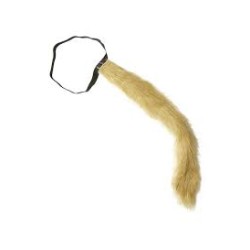 QUEUE DE LION MARRON