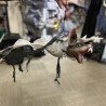 CHAUVE SOURIS A SUSPENDRE 90 CM DE LARGE