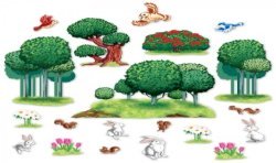 DECORATION FORET ET LAPINS