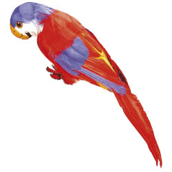 PERROQUET EN PLUMES ROUGES