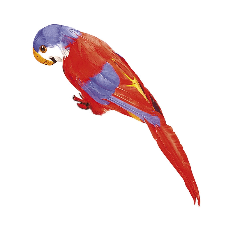 PERROQUET EN PLUMES ROUGES