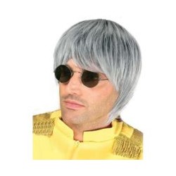 PERRUQUE HARRY GRISE
