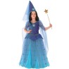 DEGUISEMENT REINE LA BONNE FEE TAILLE 4 ANS