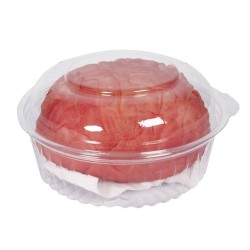 DECORATION HALLOWEEN CERVEAU SANGLANT