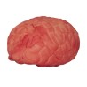 DECORATION HALLOWEEN CERVEAU SANGLANT