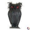 CHOUETTE NOIRE YEUX LUMINEUX