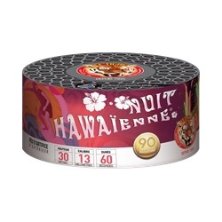FEU D'ARTIFICE COMPACT NUIT HAWAIENNE 90 COUPS 