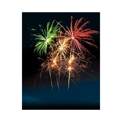 FEU D'ARTIFICE COMPACT VISA POUR L'ESPACE 19 SHOTS