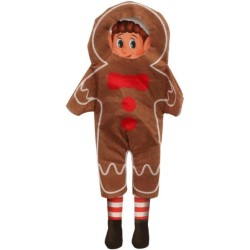 DEGUISEMENT PAIN D'EPICE POUR LUTIN FARCEUR