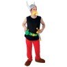 DEGUISEMENT GAULOIS ASTERIX 9 PIECES - ASTERIX® M