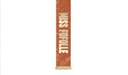 ECHARPE A PAILLETTES MISS FOFOLLE COULEUR ORANGE