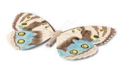 PAPILLON SUR PINCE TAUPE ET BLEU 18 CM 