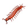 CENTIPEDE OU MILLEPATTE GEANT 45 CM ARTICULE