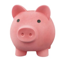 MINI TIRELIRE COCHON MA GRANDE FORTUNE ROSE BLEUE OU BLANCHE