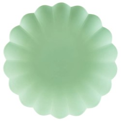4 ASSIETTES EN PLASTIQUE REUTILISABLE VERT PASTEL OU MENTHE 22 CM DE DIAMETRE