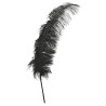 PLUME D'AUTRUCHE NOIRE 50 CM 