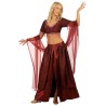 DEGUISEMENT FEMME ORIENTALE BORDEAU TAILLE M