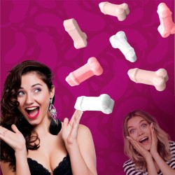 BONBONS ZIZIBONS 1 BOITE CERISE FRAISE OU MENTHE