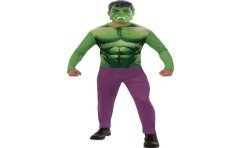 DEGUISEMENT HULK TAILLE STANDART 