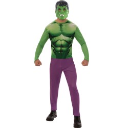 DEGUISEMENT HULK TAILLE STANDART 