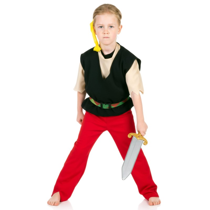 DEGUISEMENT GAULOIS AILE TAILLE 164