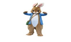 DEGUISEMENT LAPIN BRUN MASCOTTE JEANNOT TAILLE UNIQUE 
