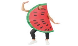 DEGUISEMENT PASTEQUE TAILLE UNIQUE