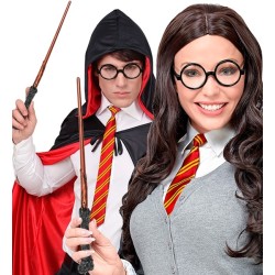 KIT APPRENTI MAGICIEN BAGUETTE+LUNETTES RONDES NOIRES