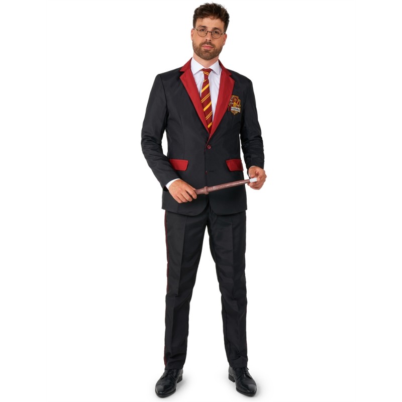 DEGUISEMENT COSTUME MR GRYFFONDOR TAILLE L ( 52-54)