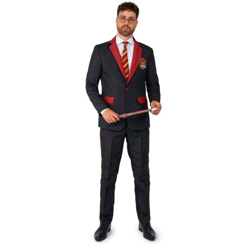 DEGUISEMENT COSTUME MR GRYFFONDOR HARRY POTTER TAILLE S ( 44-46)