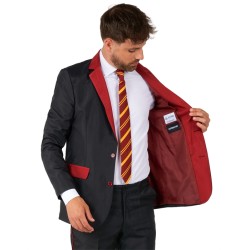 DEGUISEMENT COSTUME MR GRYFFONDOR HARRY POTTER TAILLE S ( 44-46)