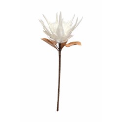 DECORATION FLEUR PROTEA BLANCHE GEANTE SUR TIGE 30 CM X 102 CM 