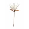DECORATION FLEUR PROTEA BLANCHE GEANTE SUR TIGE 30 CM X 102 CM 