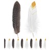 SACHET 12 PLUMES COULEURS NATURELLES