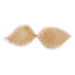 MOUSTACHES GAULOIS BLONDES