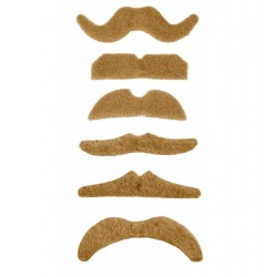 1 MOUSTACHE BLONDE DIFFERENTES FORMES