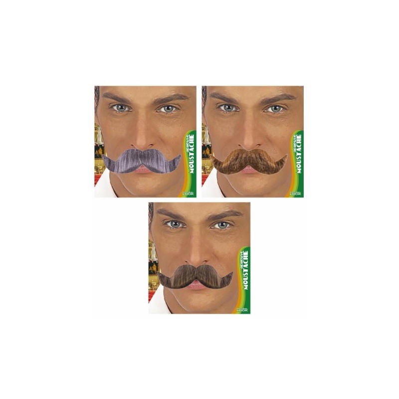 1 MOUSTACHE AMBASSADEUR 3 COULEUR ASSORTIES GRIS BLOD OU CHATAIN PAS LE CHOIX 