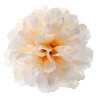 4 FLEURS PIVOINE IVOIRE 11 X 5 CM