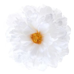 4 FLEURS PIVOINE BLANCHES 11 X 5 CM