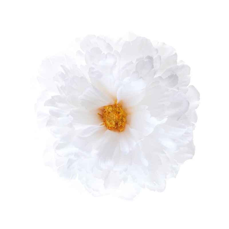 4 FLEURS PIVOINE BLANCHES 11 X 5 CM
