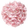 HORTENSIA ROSE TETE DE FLEUR 20 CM ENVIRON