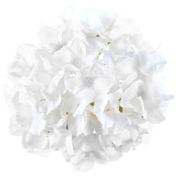 HORTENSIA BLANC TETE DE FLEUR 20 CM ENVIRON