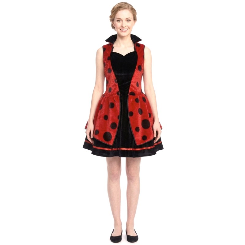 DEGUISEMENT COCCINELLE VELOURS TAILLE 36/38
