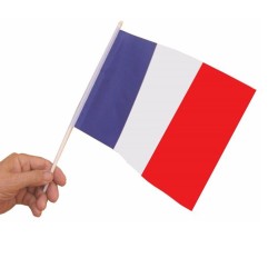 10 DRAPEAUX FRANCE EN TISSU POLYESTER 20 X 30 CM HAMPE 40 CM