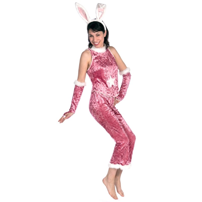 DEGUISEMENT LAPIN ROSE SEXY PANTALON/TOP TAILLE 36