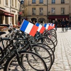 DRAPEAU AVEC HAMPE ET ANNEAU DE FIXATION FRANCE POLYESTER POUR VELO 15 X 21 CM