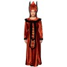DEGUISEMENT QUEEN AMIDALA TAILLE STANDARD